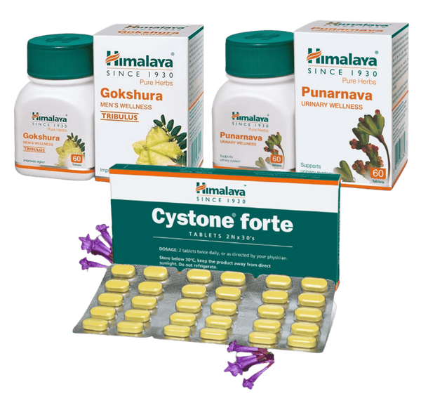 Комплекс "Чисті Нирки"